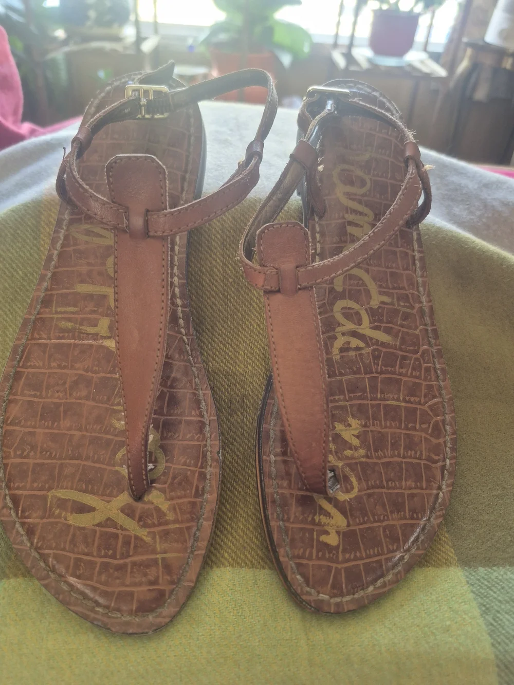 Sam Edelman Brown Leather T-Strap Sandals